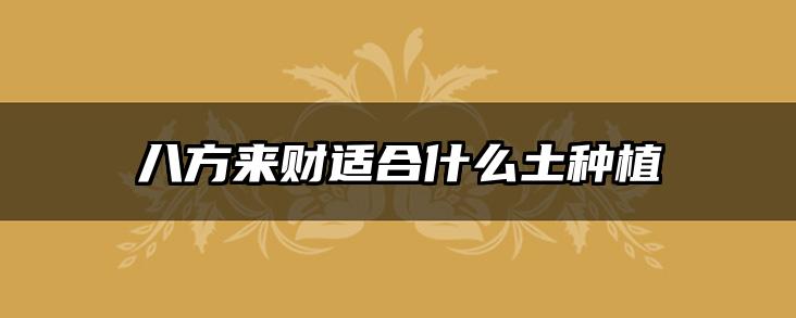八方来财适合什么土种植