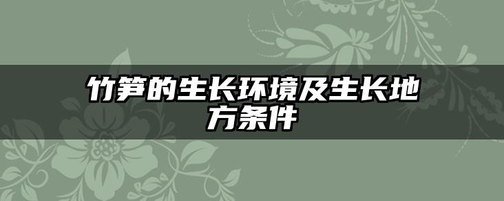 竹笋的生长环境及生长地方条件