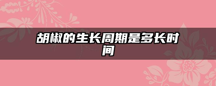 胡椒的生长周期是多长时间