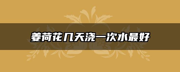 姜荷花几天浇一次水最好