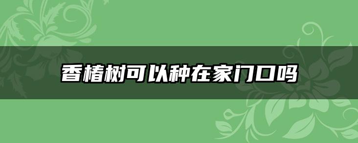 香椿树可以种在家门口吗