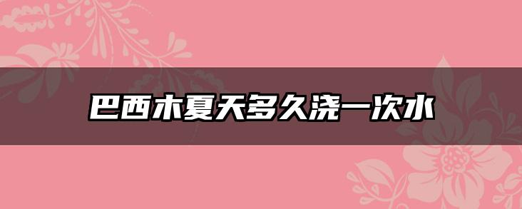 巴西木夏天多久浇一次水