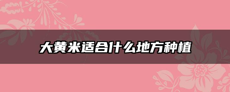 大黄米适合什么地方种植