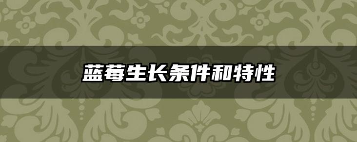 蓝莓生长条件和特性