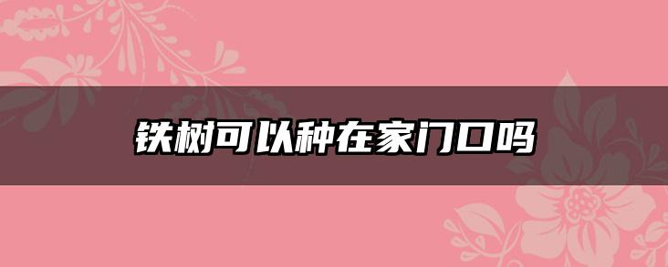 铁树可以种在家门口吗