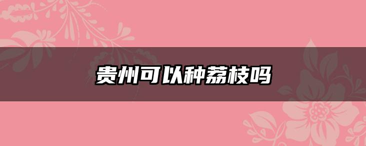 贵州可以种荔枝吗