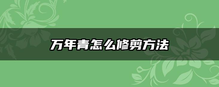 万年青怎么修剪方法