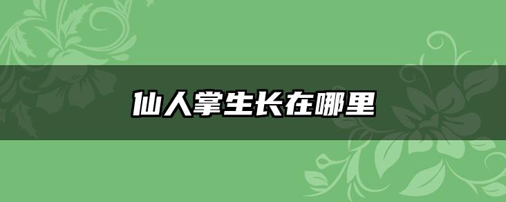 仙人掌生长在哪里