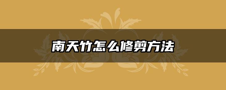南天竹怎么修剪方法