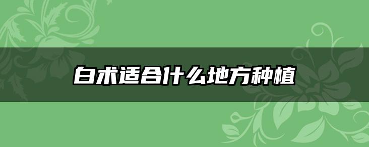 白术适合什么地方种植