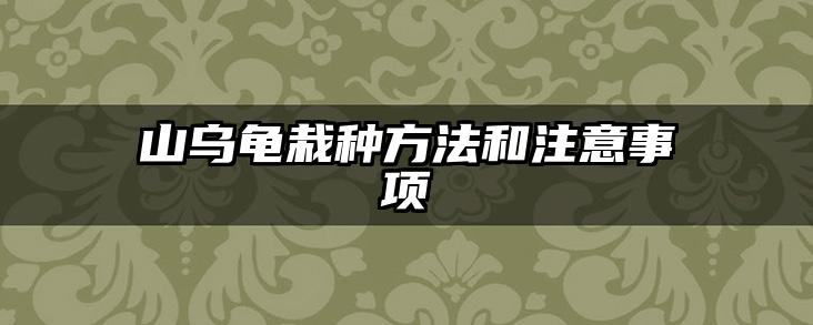 山乌龟栽种方法和注意事项