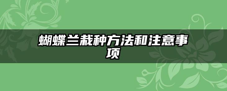 蝴蝶兰栽种方法和注意事项