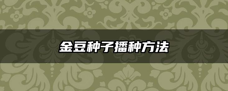 金豆种子播种方法