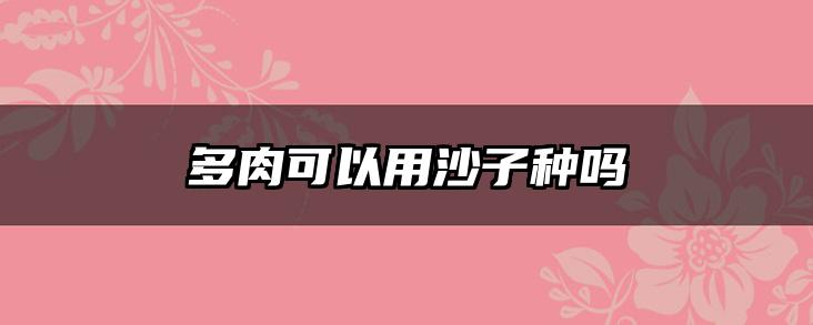 多肉可以用沙子种吗