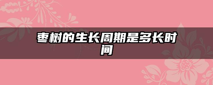 枣树的生长周期是多长时间