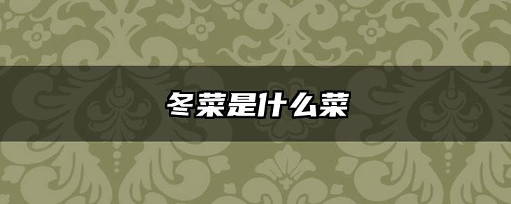 冬菜是什么菜