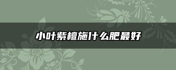 小叶紫檀施什么肥最好