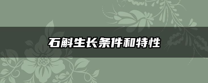 石斛生长条件和特性