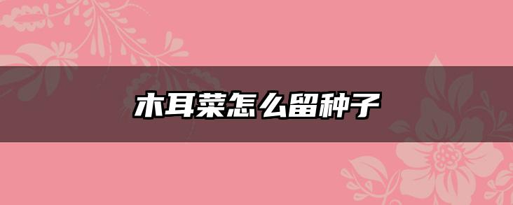 木耳菜怎么留种子