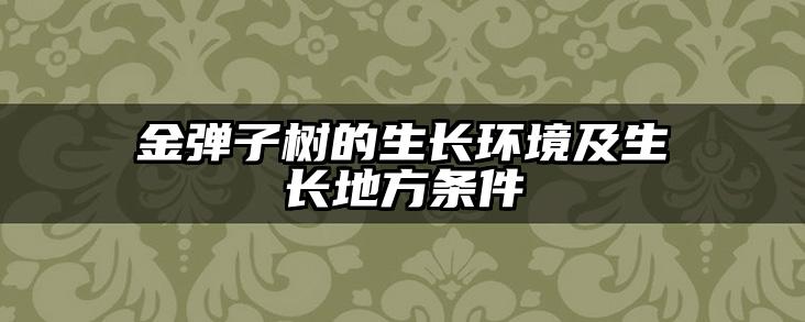 金弹子树的生长环境及生长地方条件