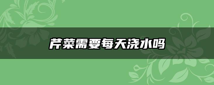 芹菜需要每天浇水吗
