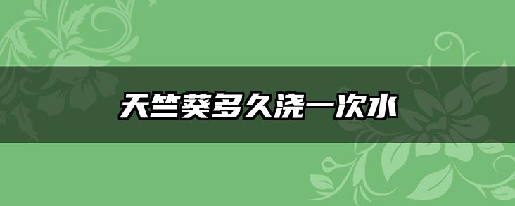 天竺葵多久浇一次水