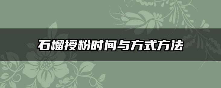 石榴授粉时间与方式方法