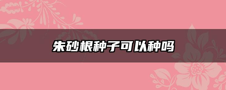 朱砂根种子可以种吗