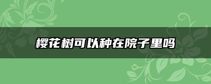 樱花树可以种在院子里吗
