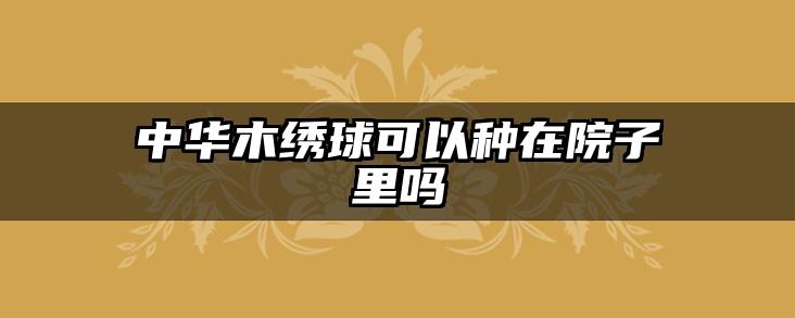 中华木绣球可以种在院子里吗