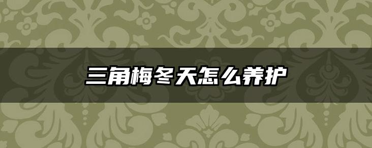 三角梅冬天怎么养护