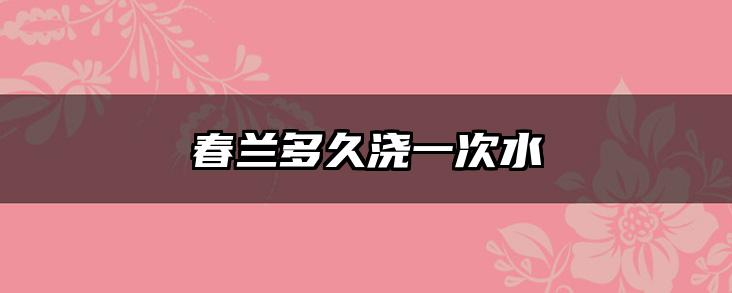 春兰多久浇一次水
