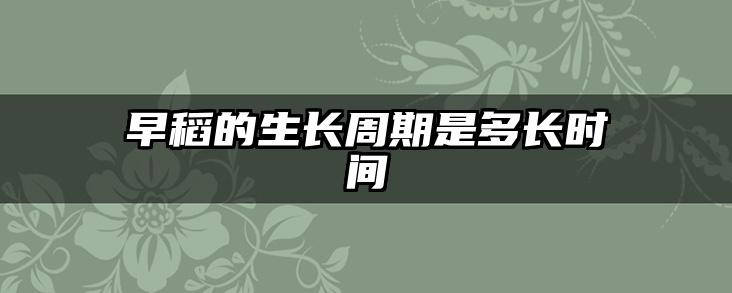 早稻的生长周期是多长时间