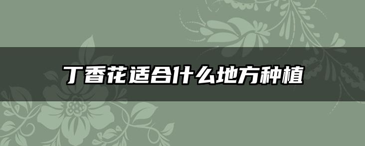 丁香花适合什么地方种植