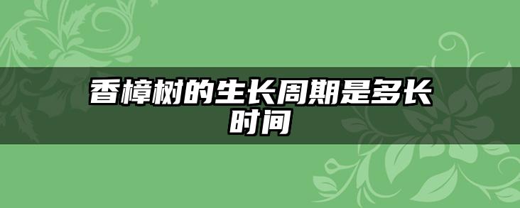 香樟树的生长周期是多长时间