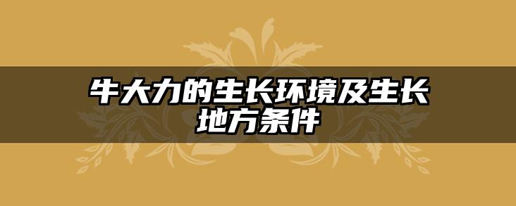牛大力的生长环境及生长地方条件
