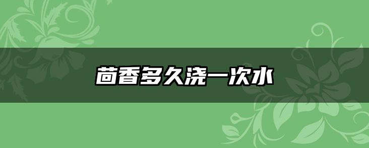 茴香多久浇一次水