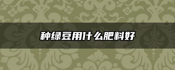 种绿豆用什么肥料好