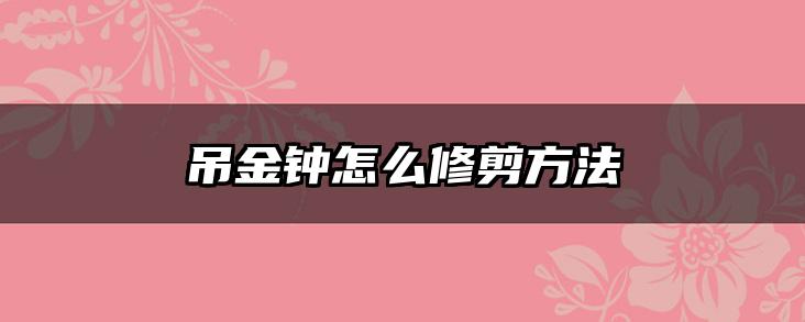 吊金钟怎么修剪方法