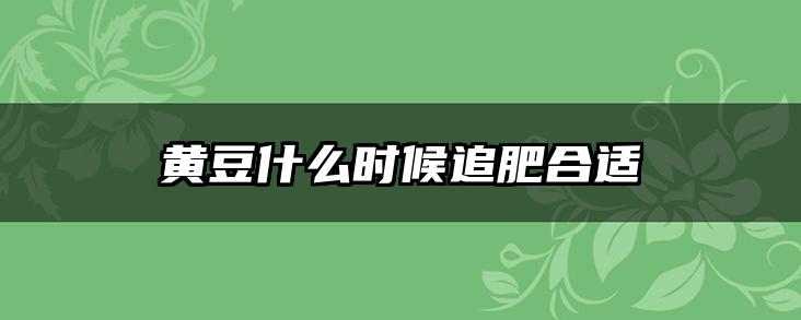 黄豆什么时候追肥合适