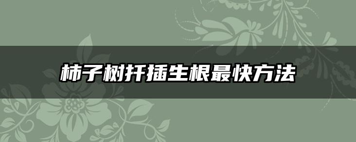 柿子树扦插生根最快方法