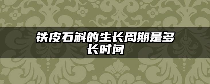 铁皮石斛的生长周期是多长时间