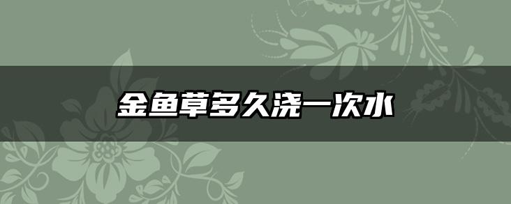 金鱼草多久浇一次水