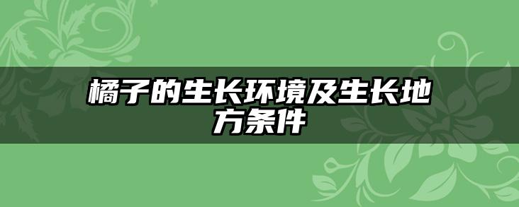 橘子的生长环境及生长地方条件
