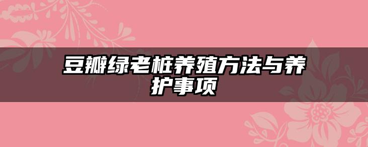 豆瓣绿老桩养殖方法与养护事项