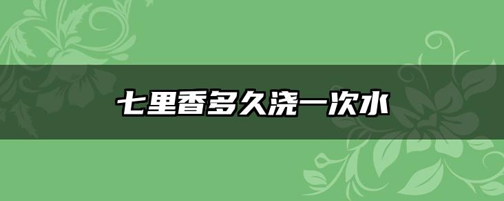 七里香多久浇一次水
