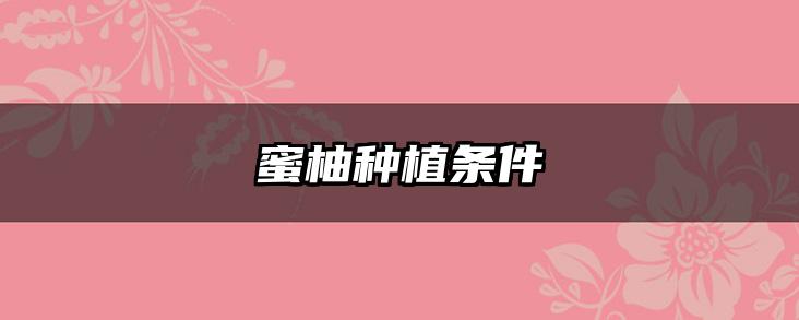 蜜柚种植条件