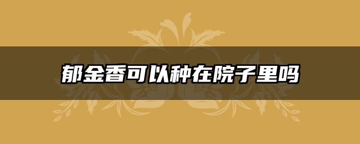 郁金香可以种在院子里吗