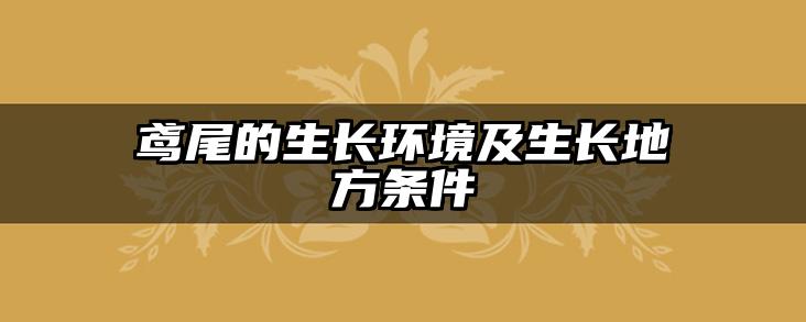 鸢尾的生长环境及生长地方条件