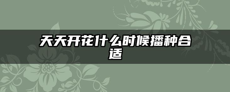 天天开花什么时候播种合适